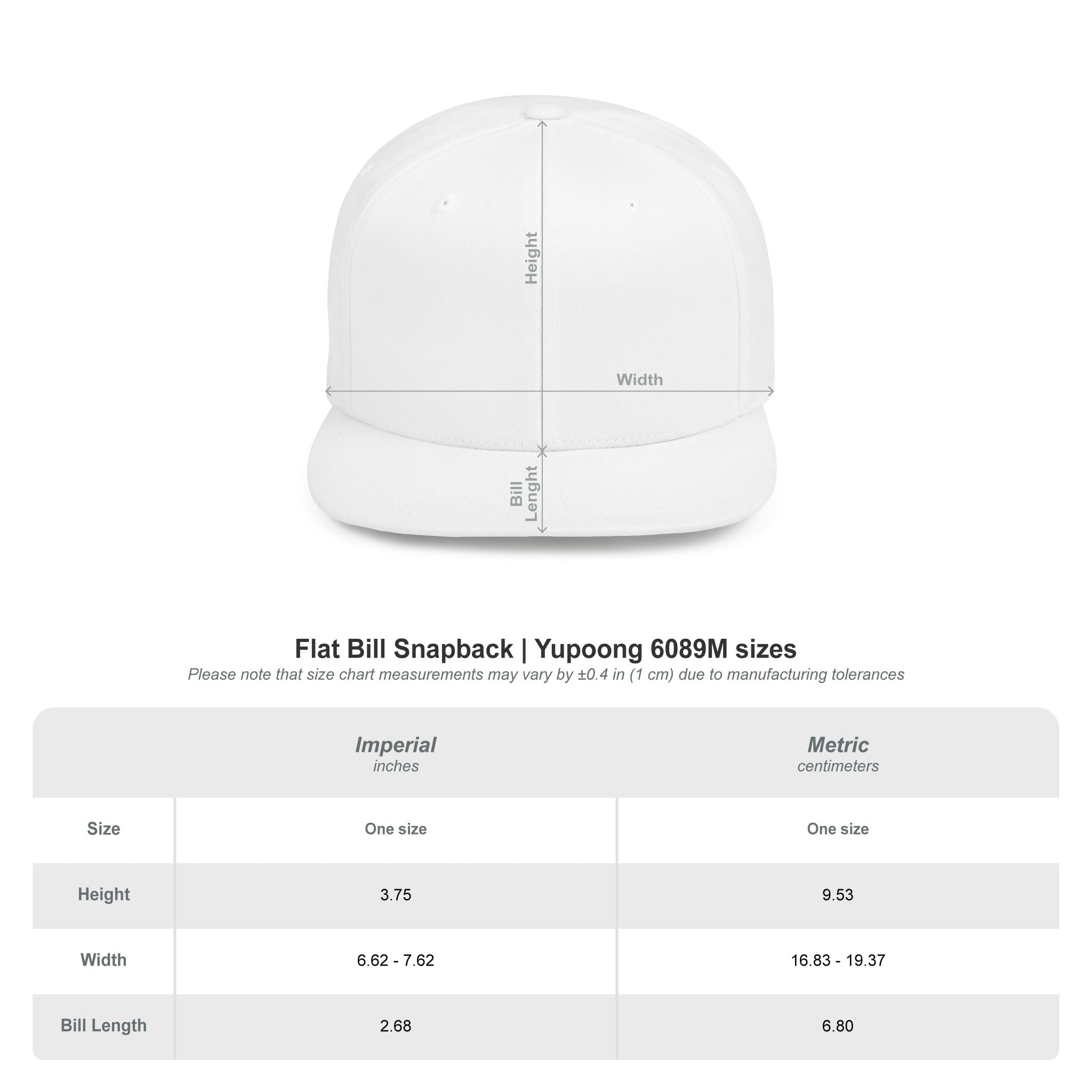 CEO Snapback Hat - "Chasing Every Opportunity" Flat Bill Cap